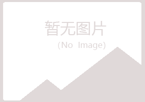 巫山县沉沦会计有限公司